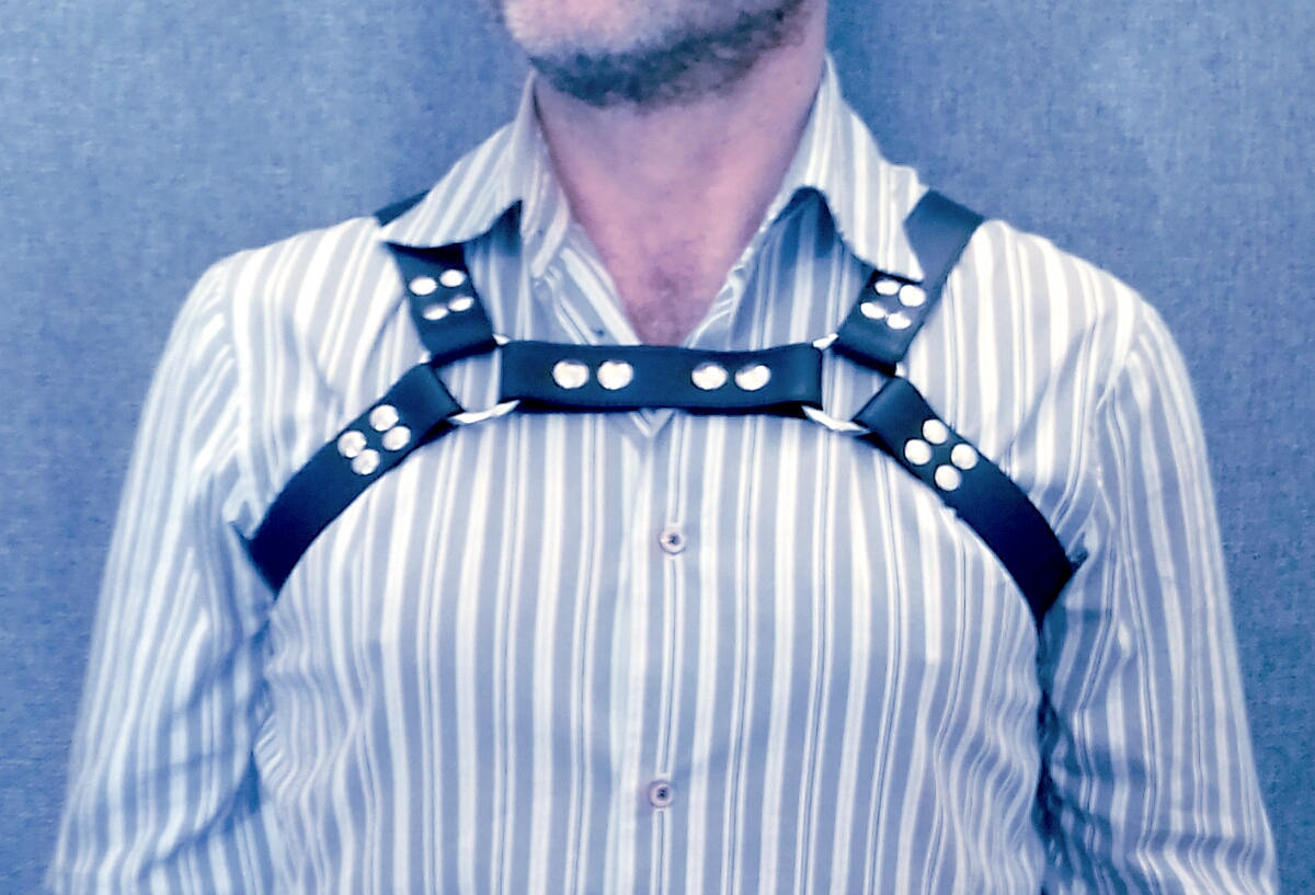 Harness
